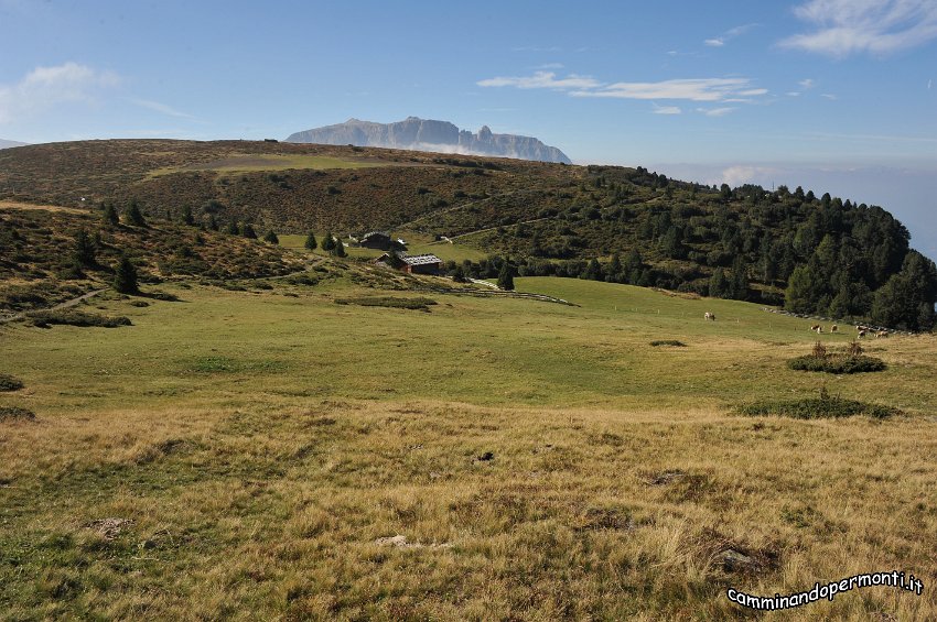 040 Panorama alle nostre spalle.JPG